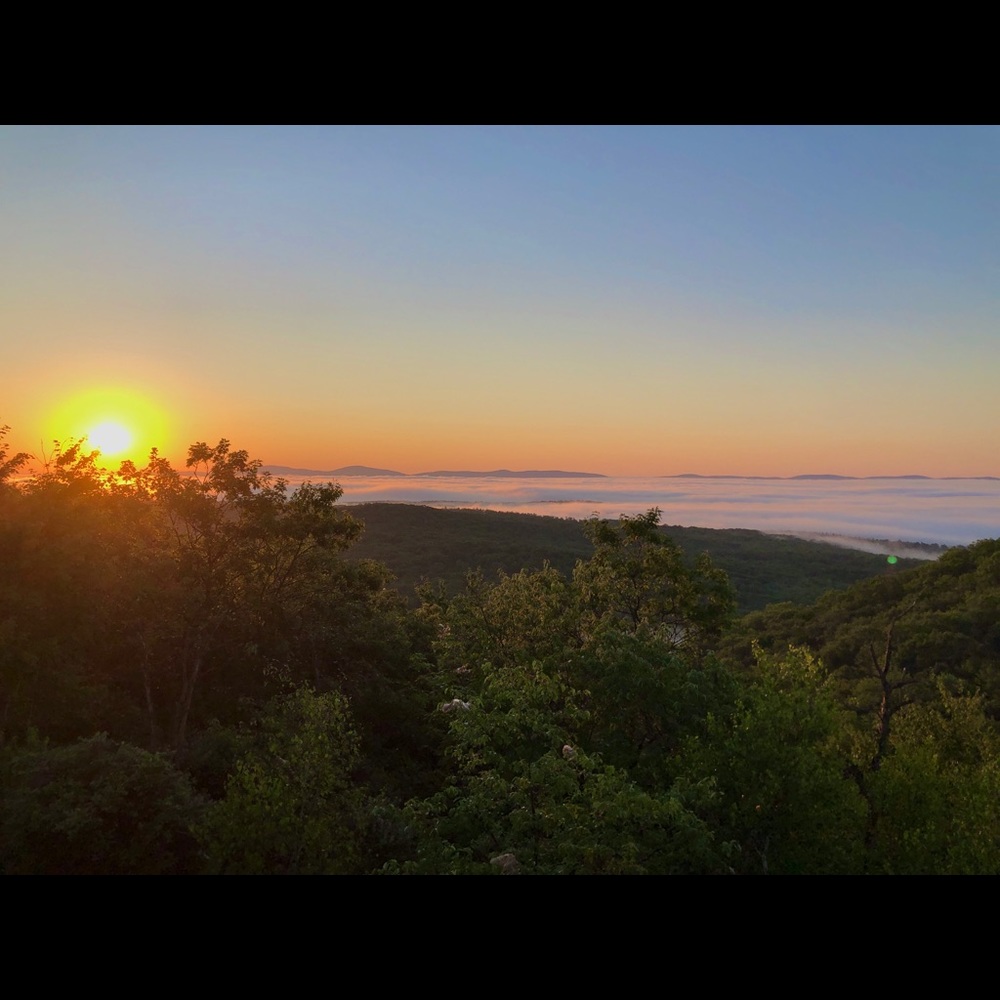 Meet your Posher, Aurora